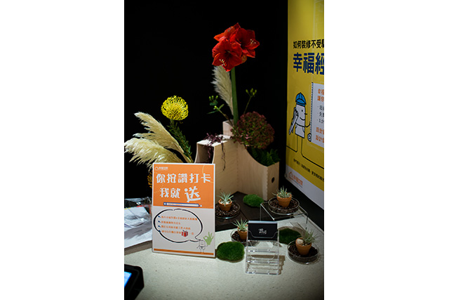 花絮